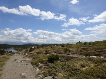 Wege sind gut begehbar